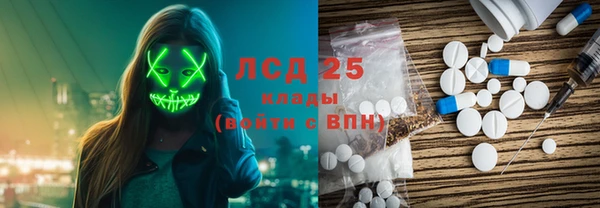 ПСИЛОЦИБИНОВЫЕ ГРИБЫ Арсеньев
