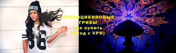 ПСИЛОЦИБИНОВЫЕ ГРИБЫ Арсеньев