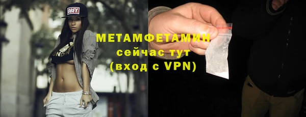 ПСИЛОЦИБИНОВЫЕ ГРИБЫ Арсеньев
