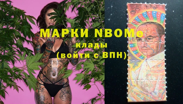 ПСИЛОЦИБИНОВЫЕ ГРИБЫ Арсеньев