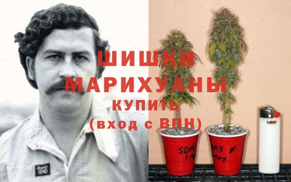 прущие крисы Армянск