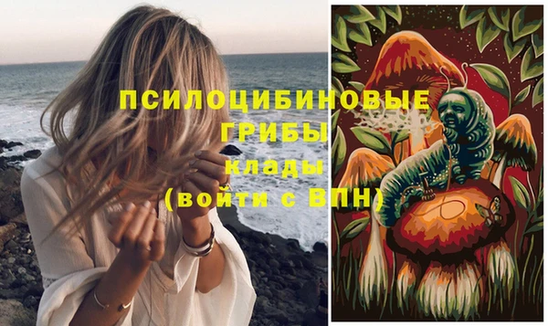 прущие крисы Армянск