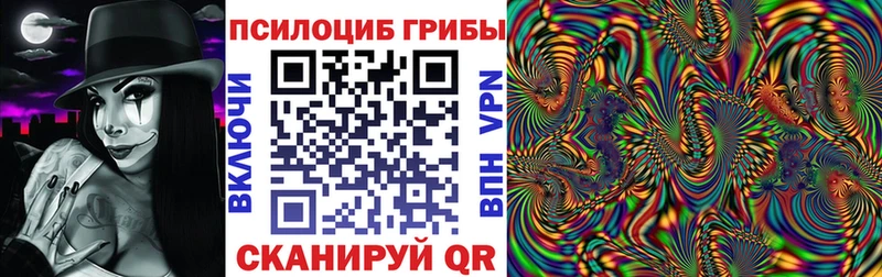 Купить где  Мензелинск  Галлюциногенные грибы MAGIC MUSHROOMS 